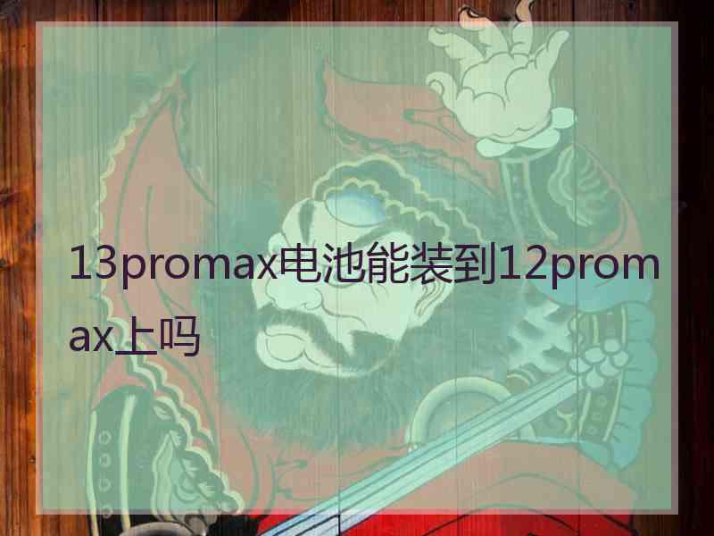 13promax电池能装到12promax上吗