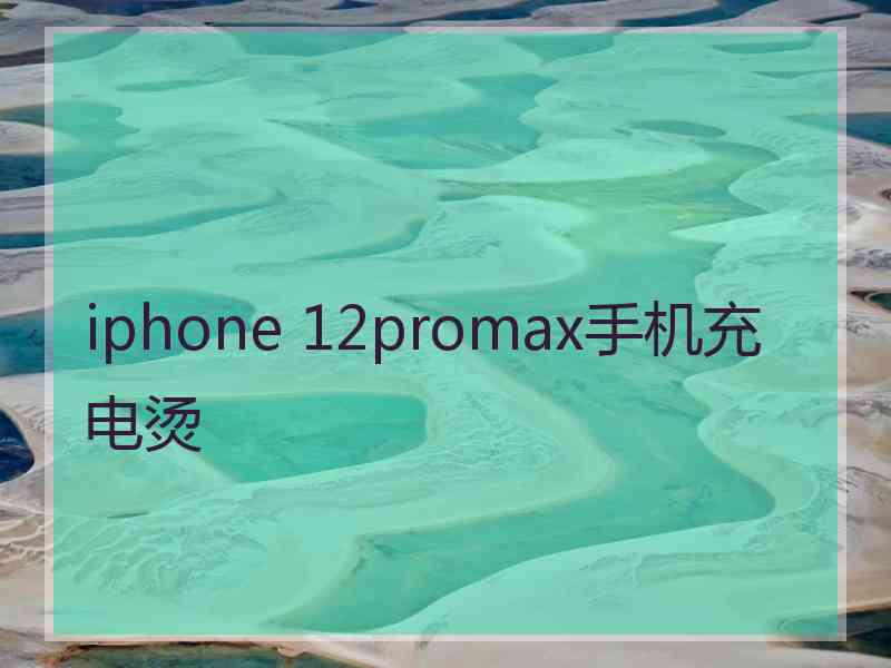 iphone 12promax手机充电烫