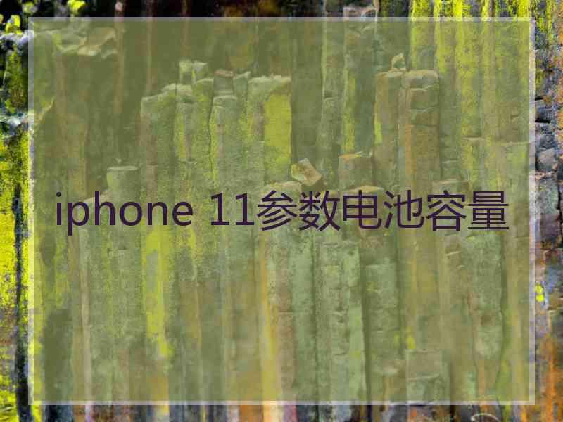 iphone 11参数电池容量