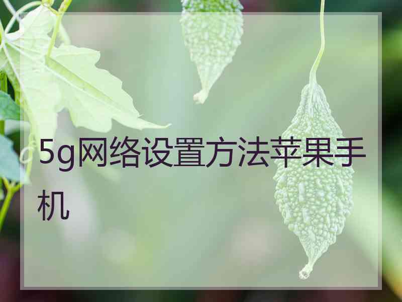 5g网络设置方法苹果手机