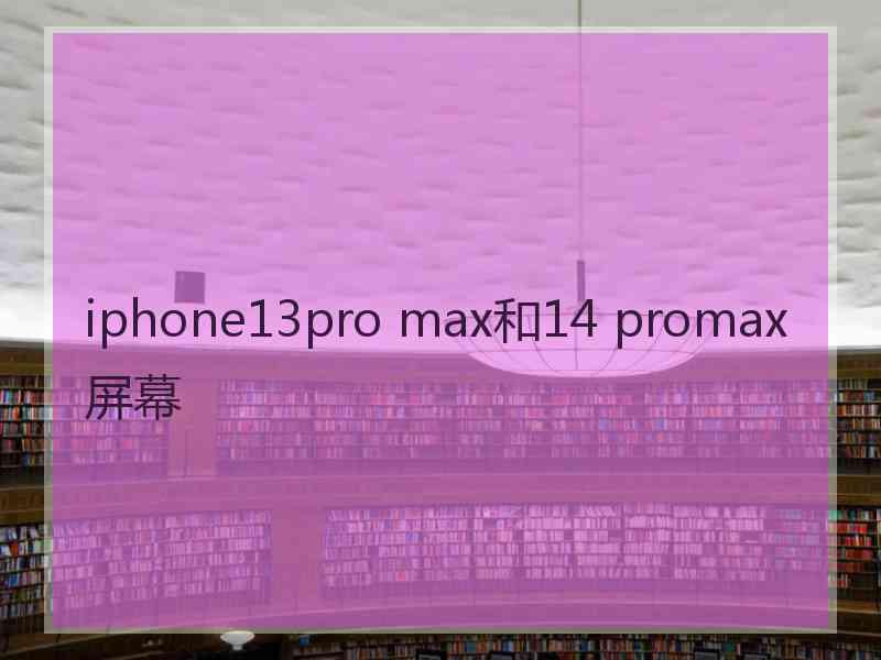 iphone13pro max和14 promax屏幕