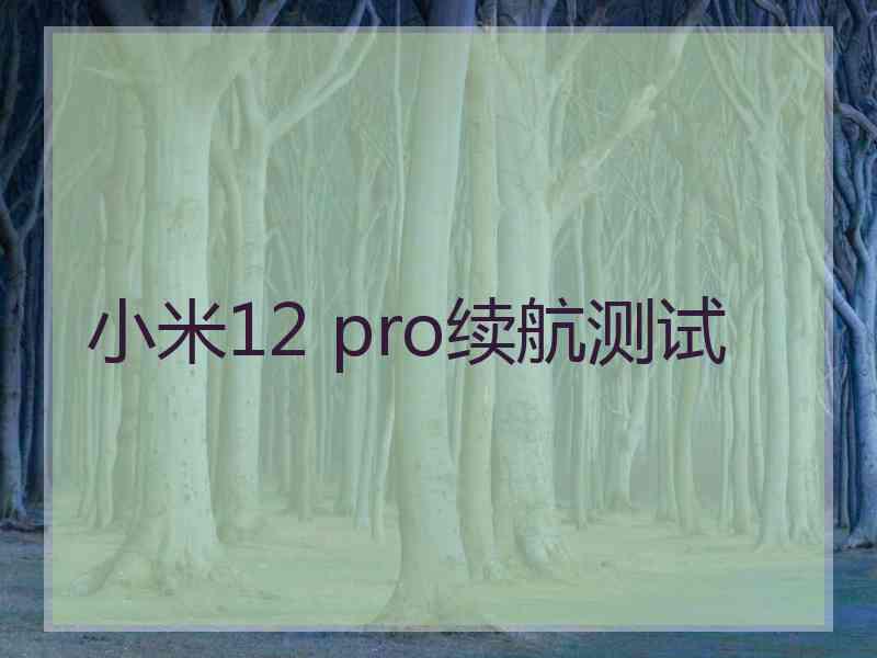 小米12 pro续航测试