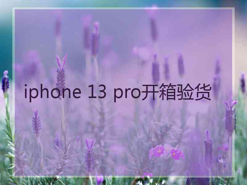 iphone 13 pro开箱验货