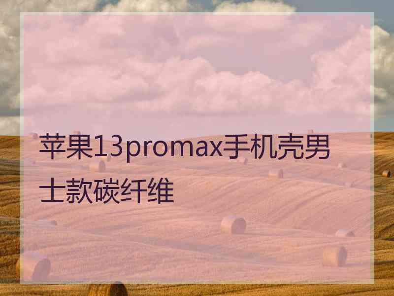 苹果13promax手机壳男士款碳纤维