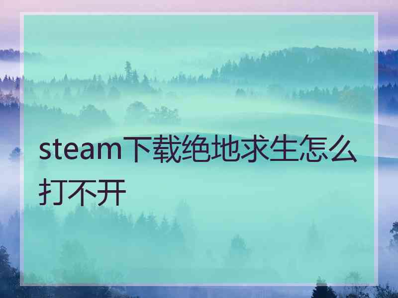 steam下载绝地求生怎么打不开