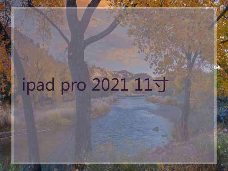 ipad pro 2021 11寸