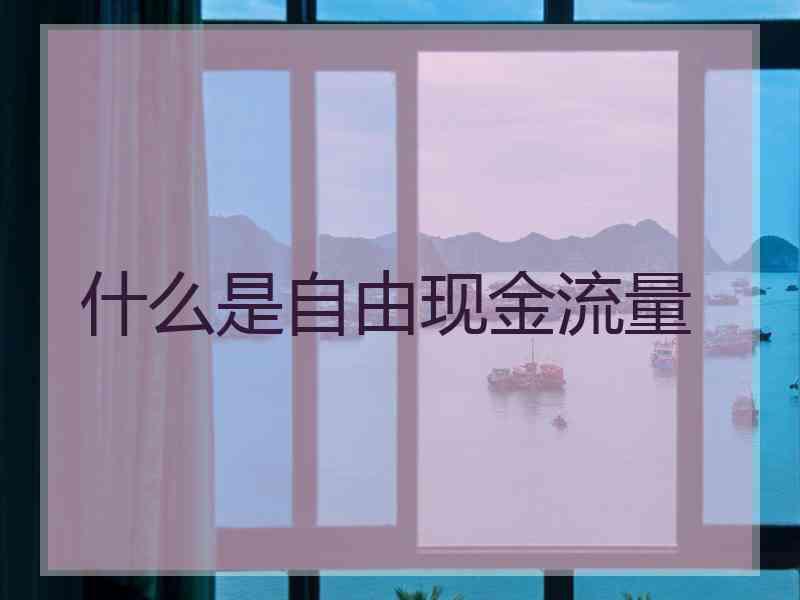 什么是自由现金流量