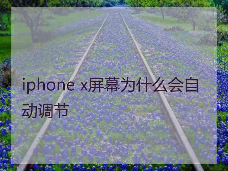 iphone x屏幕为什么会自动调节