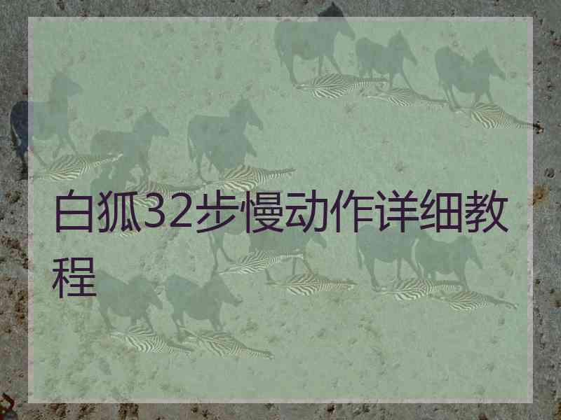 白狐32步慢动作详细教程