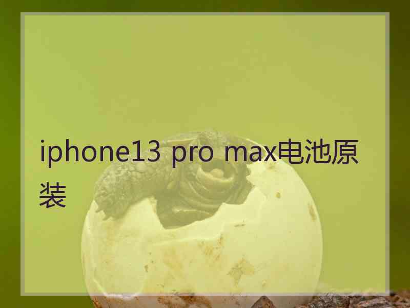 iphone13 pro max电池原装