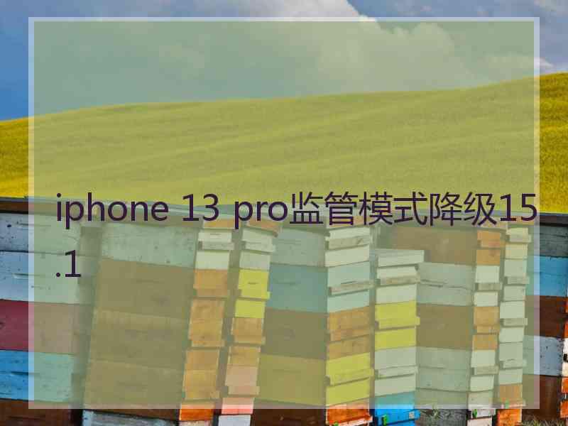 iphone 13 pro监管模式降级15.1