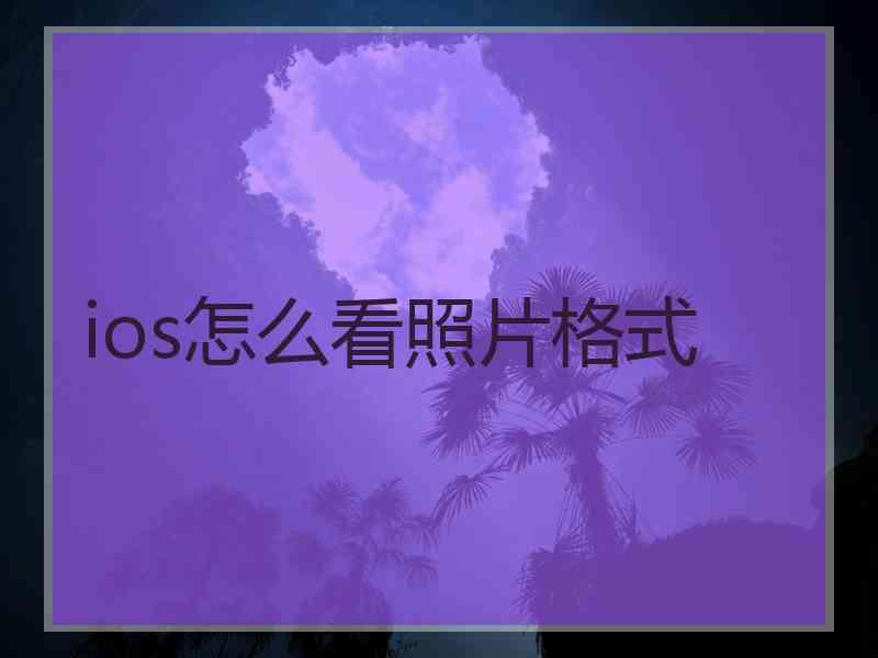 ios怎么看照片格式