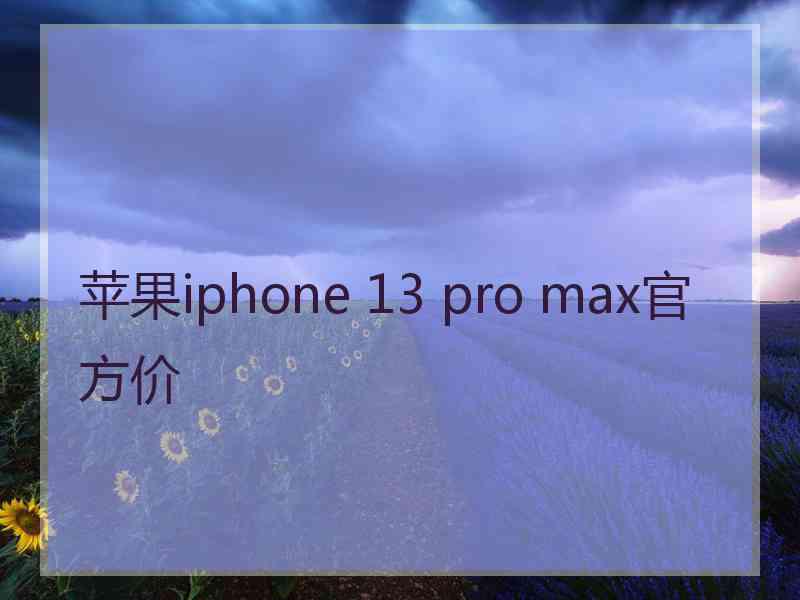 苹果iphone 13 pro max官方价