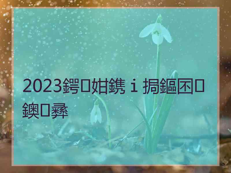 2023鍔姏鎸ｉ挶鏂囨鐭彞