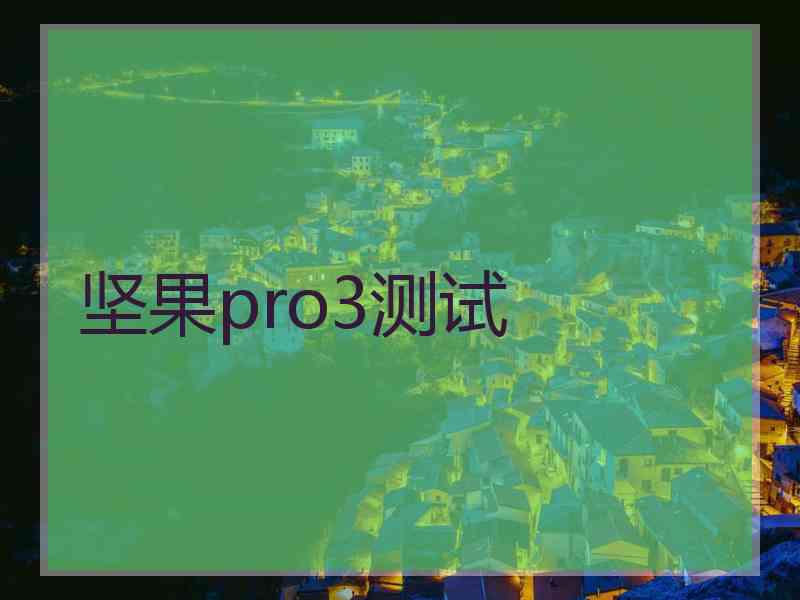 坚果pro3测试