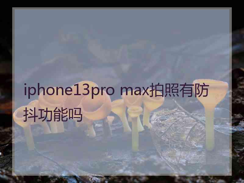 iphone13pro max拍照有防抖功能吗