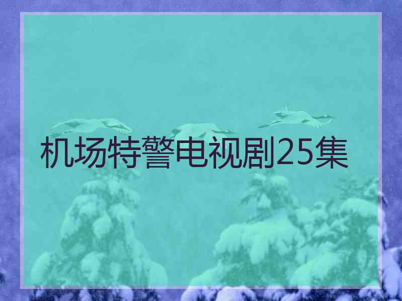 机场特警电视剧25集