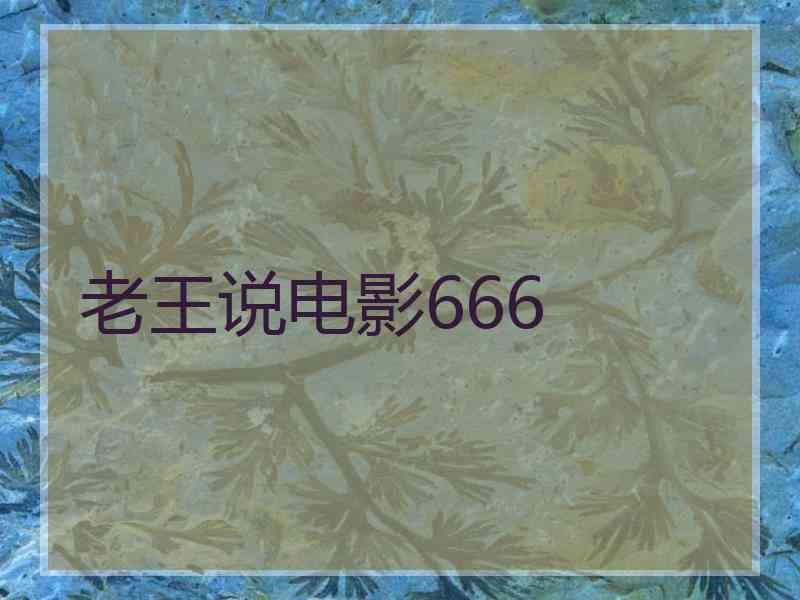 老王说电影666