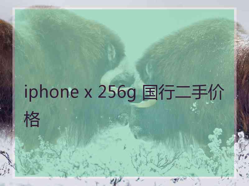 iphone x 256g 国行二手价格