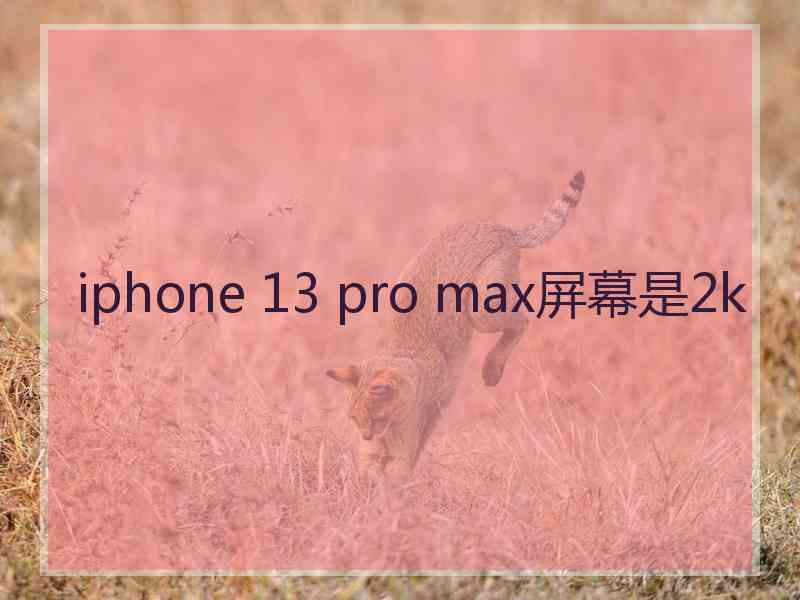 iphone 13 pro max屏幕是2k