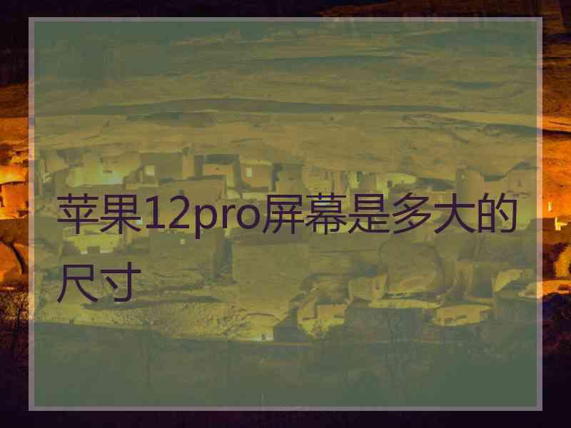 苹果12pro屏幕是多大的尺寸