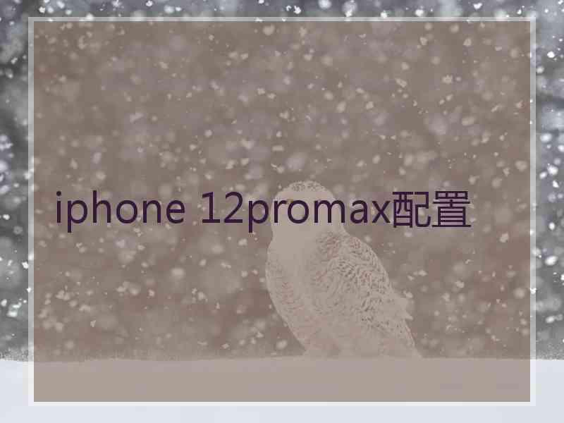 iphone 12promax配置