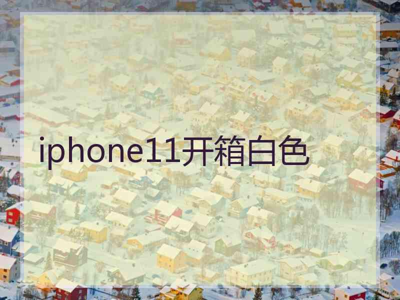 iphone11开箱白色