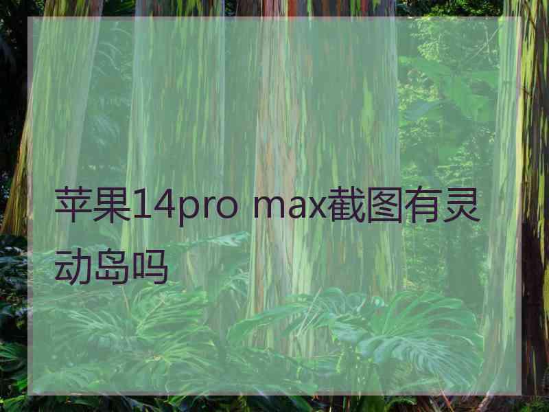 苹果14pro max截图有灵动岛吗