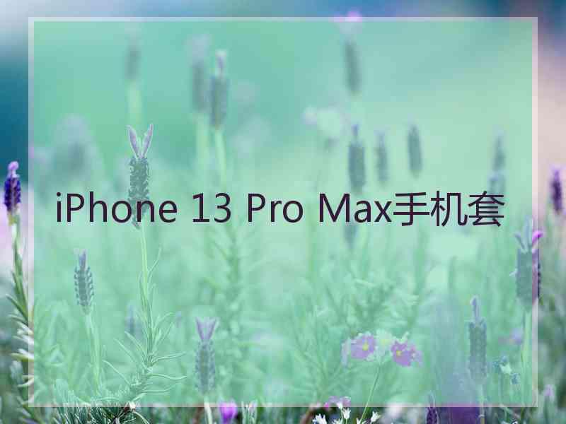 iPhone 13 Pro Max手机套