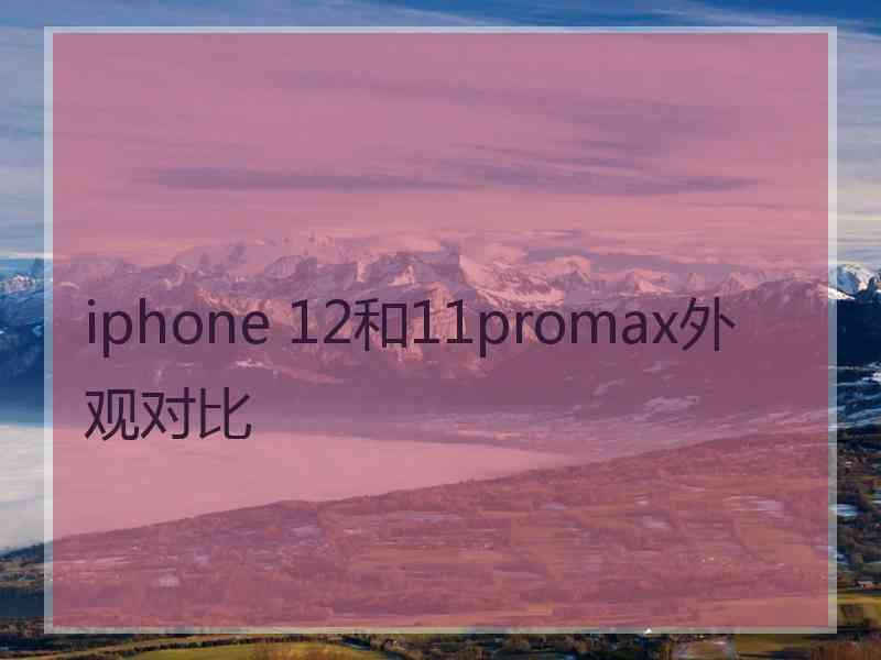 iphone 12和11promax外观对比