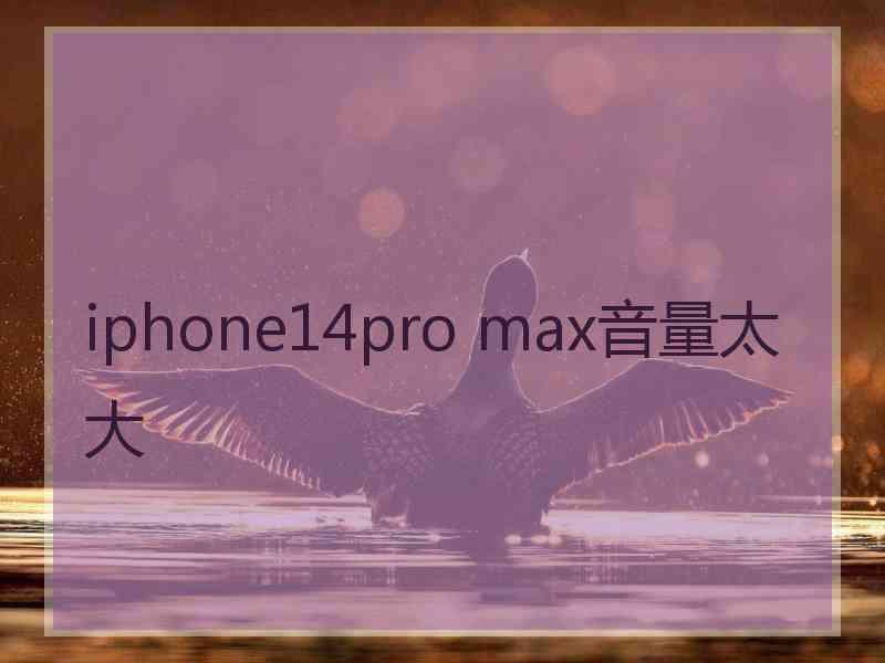 iphone14pro max音量太大