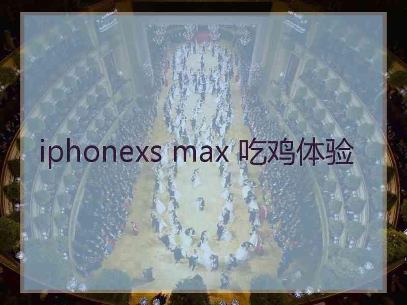 iphonexs max 吃鸡体验