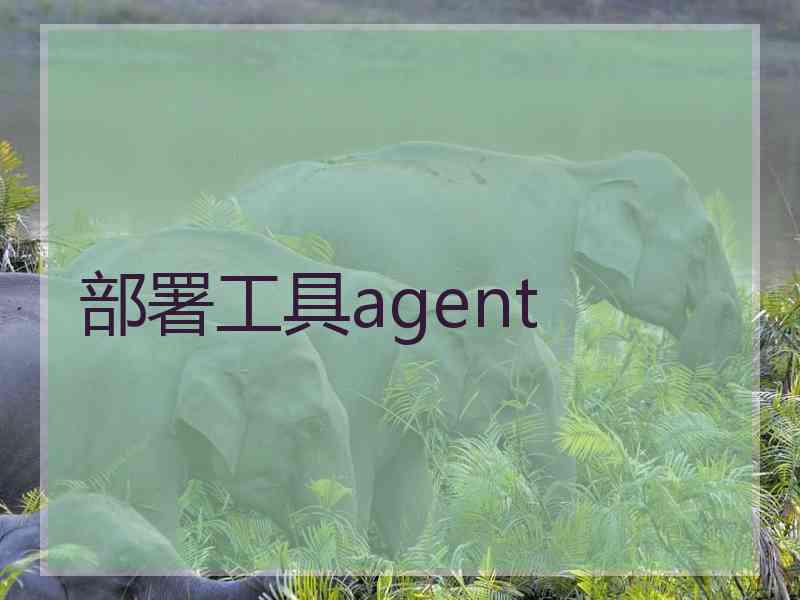 部署工具agent