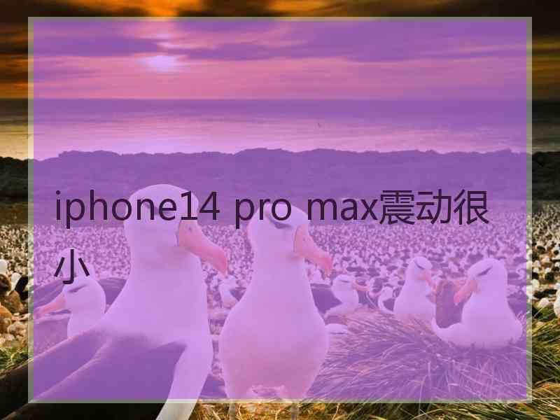 iphone14 pro max震动很小