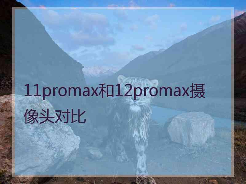 11promax和12promax摄像头对比