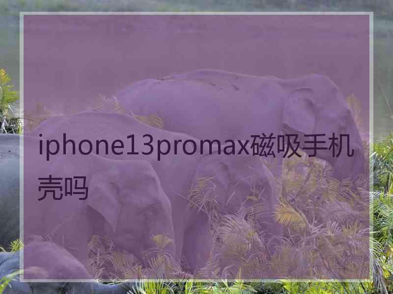 iphone13promax磁吸手机壳吗