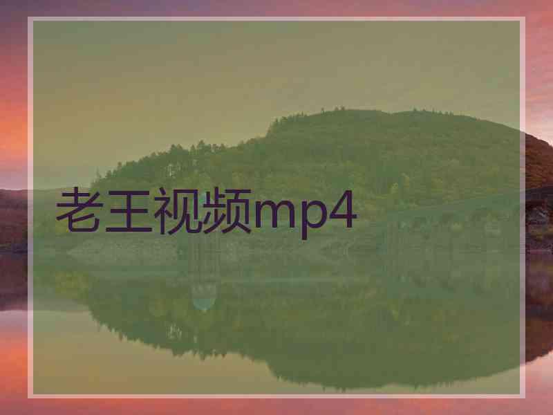 老王视频mp4