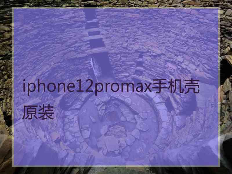 iphone12promax手机壳原装