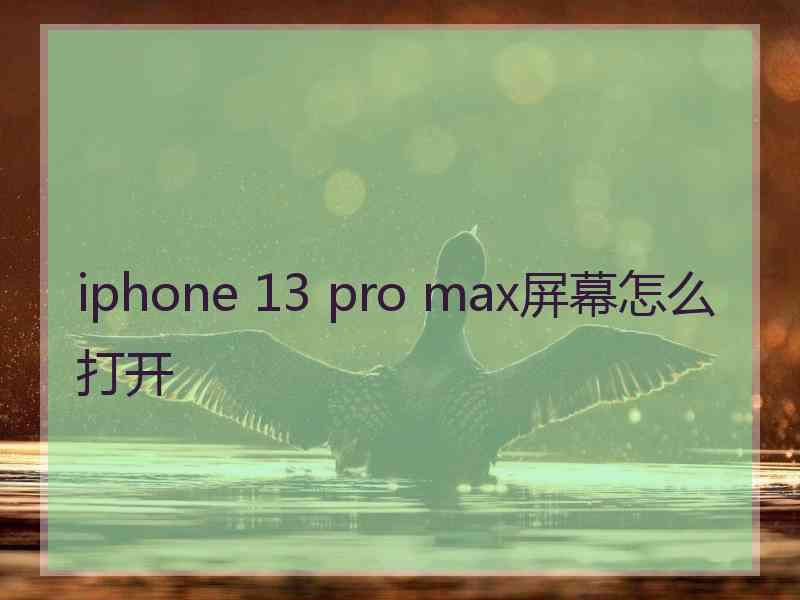 iphone 13 pro max屏幕怎么打开