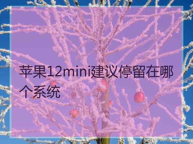 苹果12mini建议停留在哪个系统