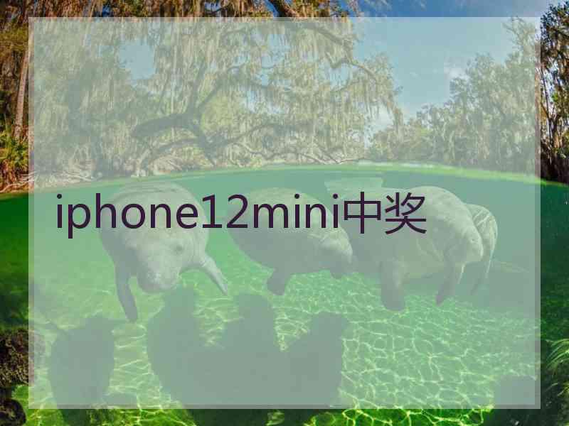 iphone12mini中奖