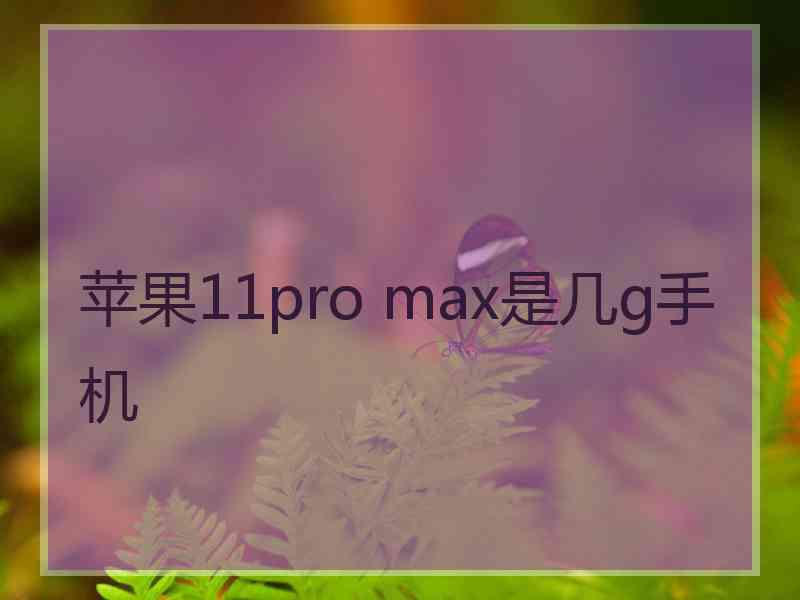 苹果11pro max是几g手机