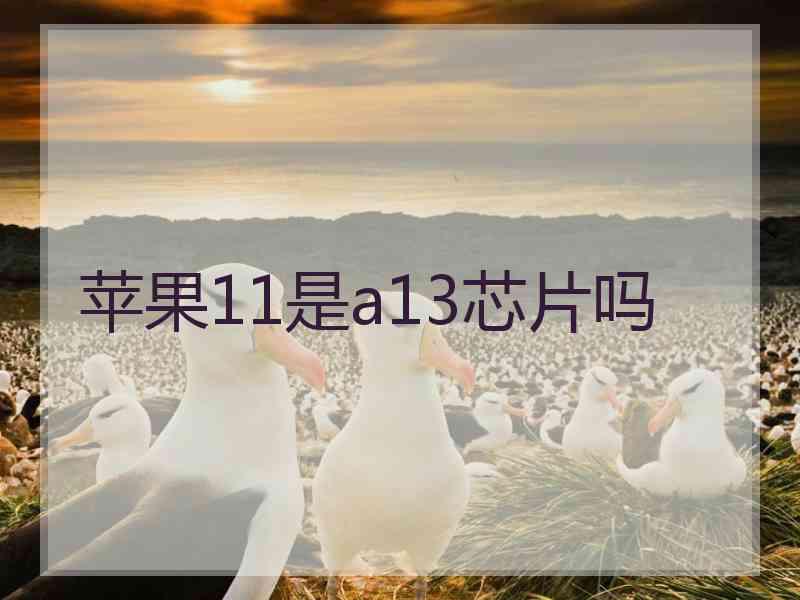 苹果11是a13芯片吗