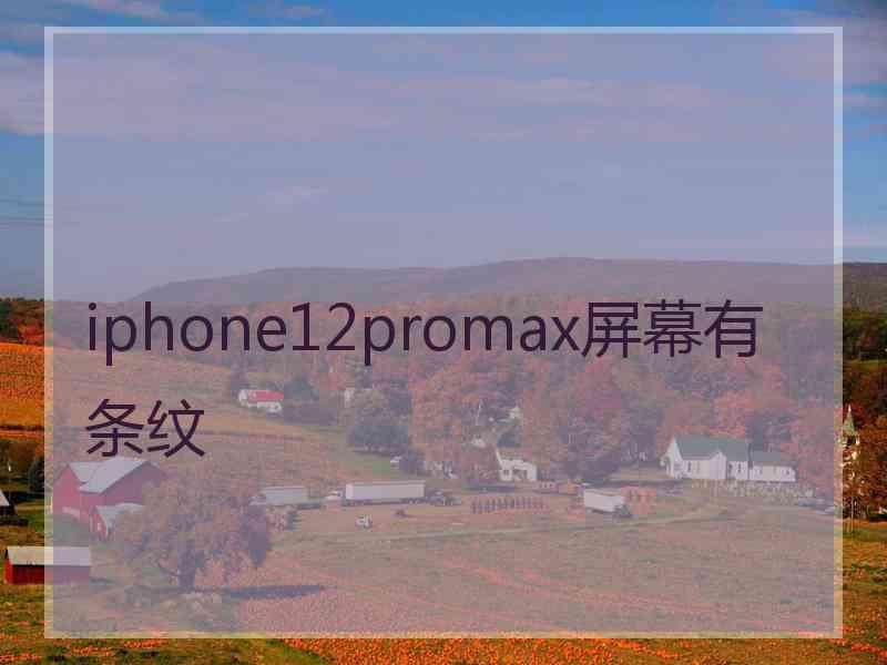 iphone12promax屏幕有条纹