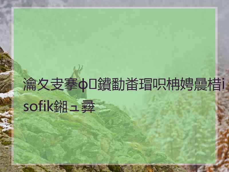 瀹夊叏搴ф鐨勫畨瑁呮柟娉曟棤isofik鎺ュ彛