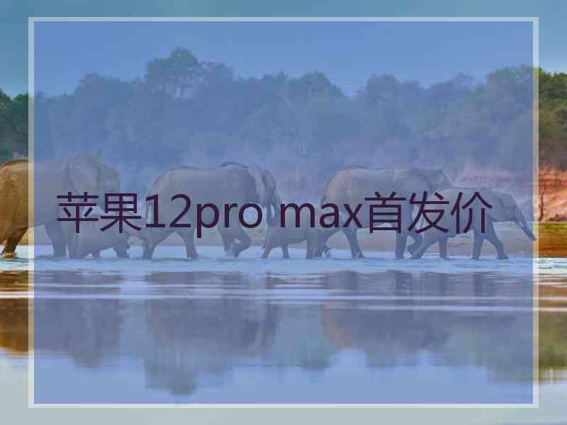 苹果12pro max首发价