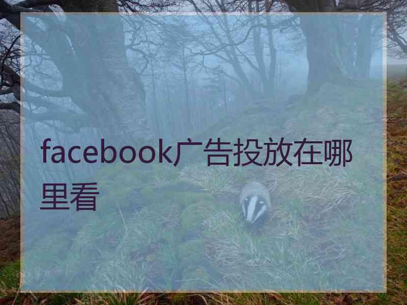 facebook广告投放在哪里看