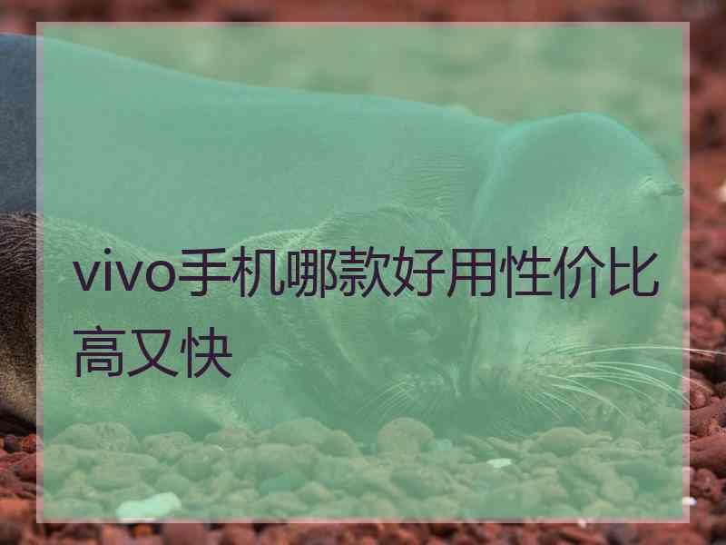 vivo手机哪款好用性价比高又快