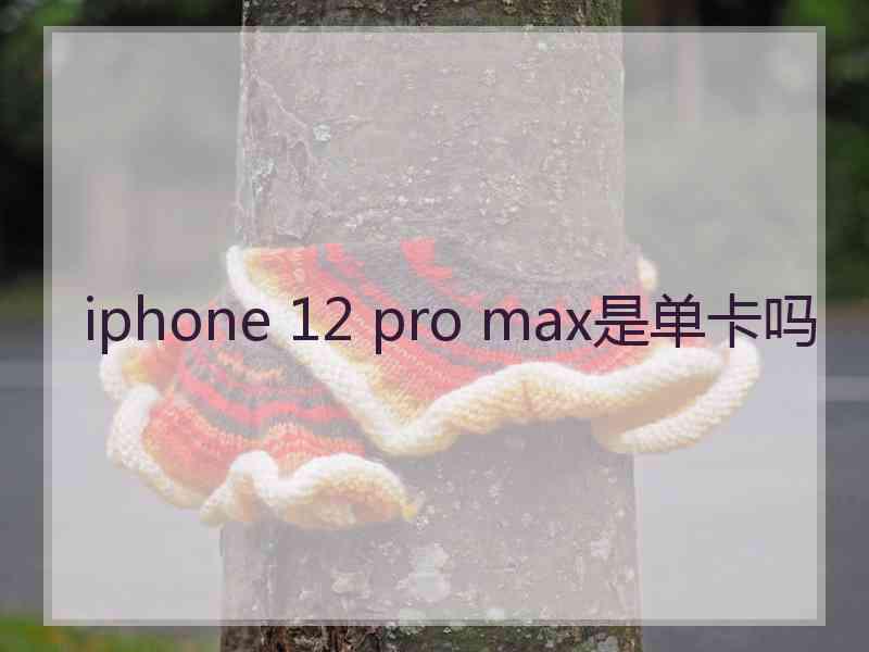 iphone 12 pro max是单卡吗