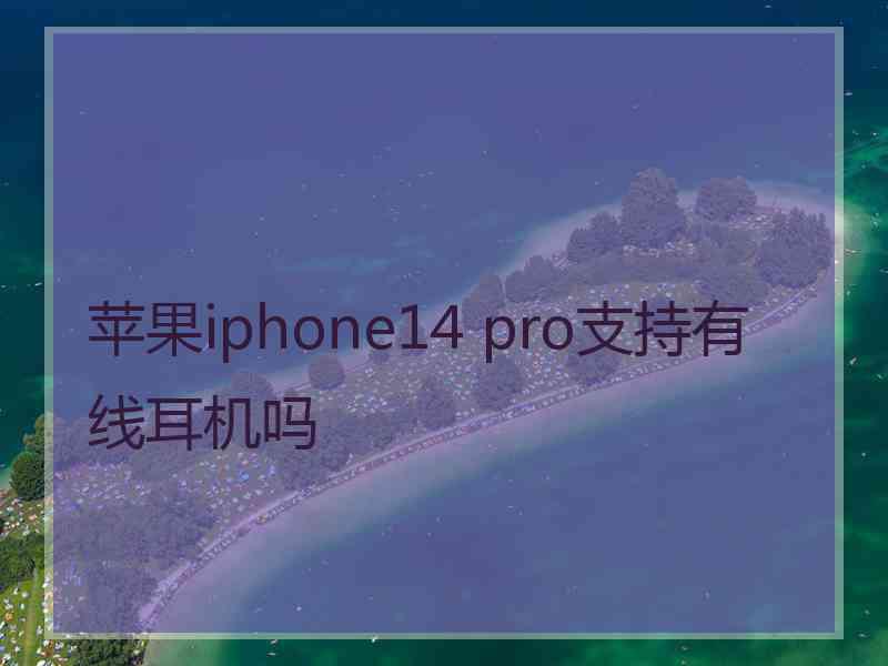 苹果iphone14 pro支持有线耳机吗